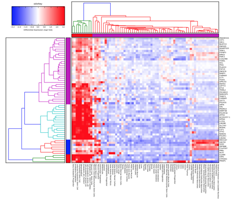 Clustering-pluri-hierarchical_euclidean_cityblock