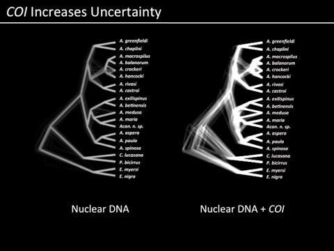 Uncertainty2